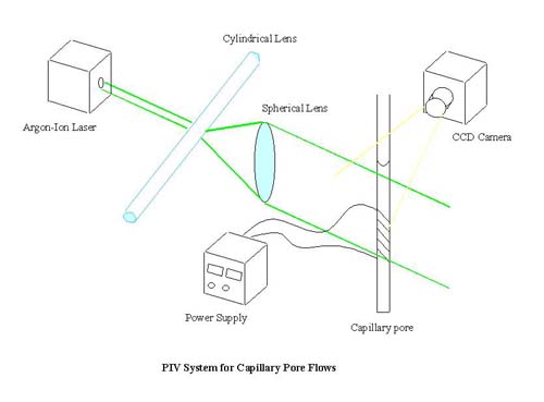 Experimental Setup